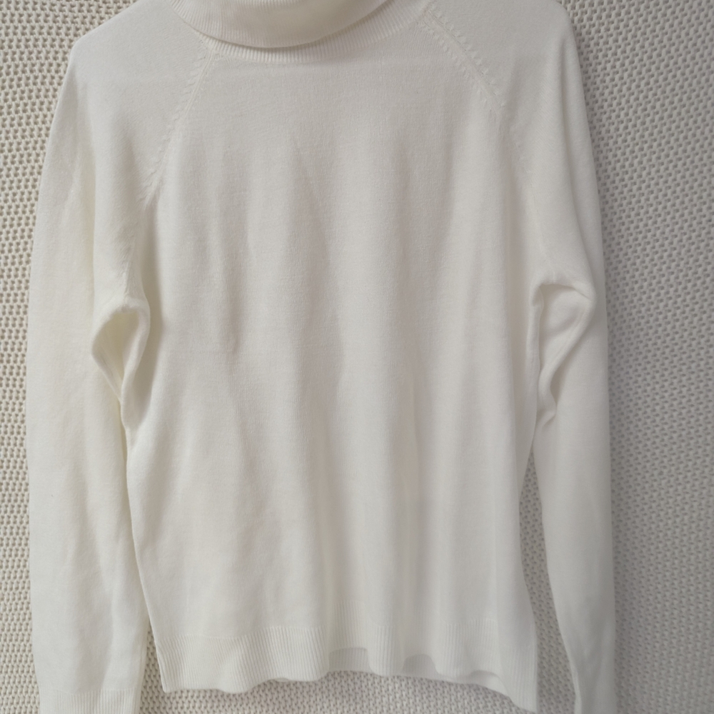 Karen Scott Cream Turtleneck Sweater